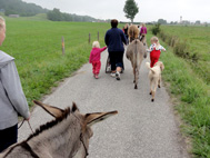 Wanderung mit Rollst&uuml;hlen